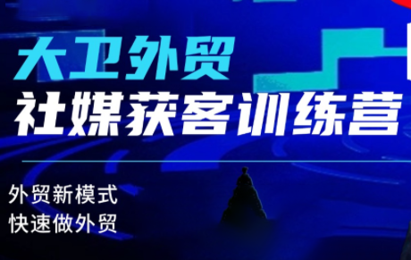 大卫老师·外贸社媒获客独家训练营(更新)-昕妈·摇钱树
