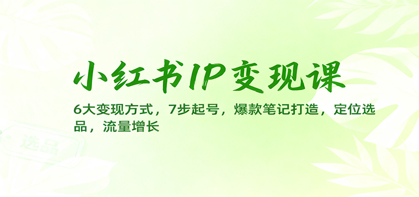 小红书IP变现课:6大变现方式,7步起号,爆款笔记打造,定位选品,流量增长-昕妈·摇钱树
